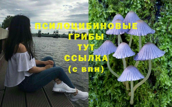 mix Алексеевка