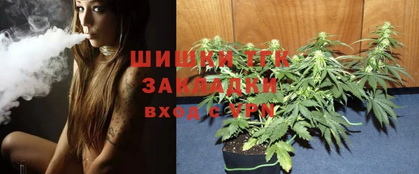 индика Абдулино
