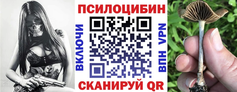 Псилоцибиновые грибы мухоморы МЕГА ССЫЛКА Холм